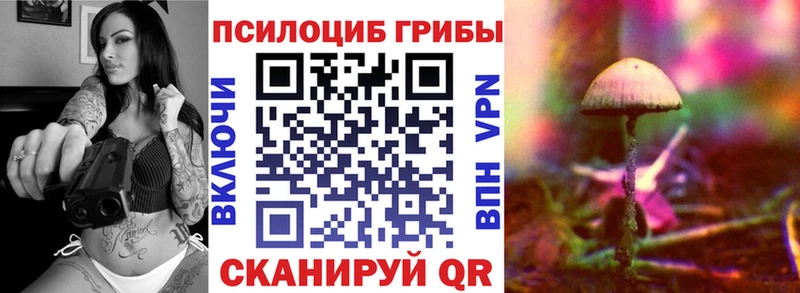 магазин  наркотиков  Тихвин  Галлюциногенные грибы Psilocybe 